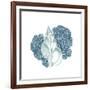 Sea Blues 2-Kimberly Allen-Framed Art Print