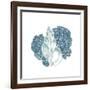 Sea Blues 2-Kimberly Allen-Framed Art Print