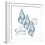 Sea Blues 4-Kimberly Allen-Framed Premium Giclee Print