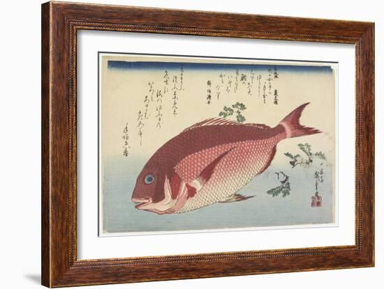 Sea Bream and Sansho Sprigs, C. 1832-Utagawa Hiroshige-Framed Giclee Print