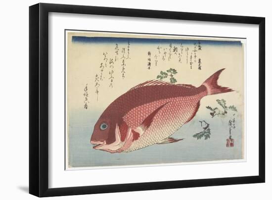 Sea Bream and Sansho Sprigs, C. 1832-Utagawa Hiroshige-Framed Giclee Print