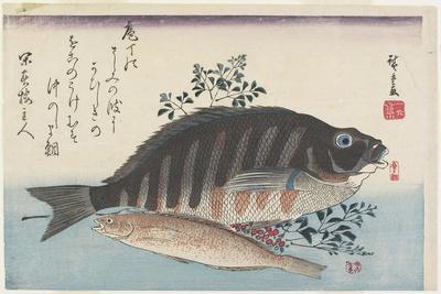 https://imgc.allpostersimages.com/img/posters/sea-bream-sweetfish-and-nandina-branches-c-1840_u-L-Q1P4YDR0.jpg?artPerspective=n