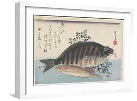 Sea Bream, Sweetfish and Nandina Branches, C. 1840-Utagawa Hiroshige-Framed Giclee Print