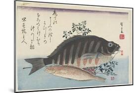 Sea Bream, Sweetfish and Nandina Branches, C. 1840-Utagawa Hiroshige-Mounted Giclee Print
