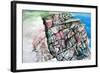 Sea Breeze, 2006-Rob Woods-Framed Giclee Print