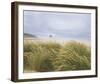 Sea Breeze Dunes-Adam Brock-Framed Giclee Print