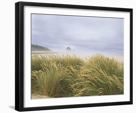 Sea Breeze Dunes-Adam Brock-Framed Giclee Print