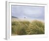 Sea Breeze Dunes-Adam Brock-Framed Giclee Print