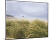 Sea Breeze Dunes-Adam Brock-Mounted Giclee Print