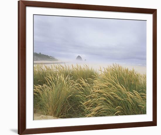 Sea Breeze Dunes-Adam Brock-Framed Giclee Print