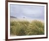 Sea Breeze Dunes-Adam Brock-Framed Giclee Print