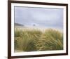 Sea Breeze Dunes-Adam Brock-Framed Giclee Print