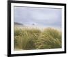 Sea Breeze Dunes-Adam Brock-Framed Giclee Print