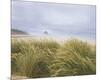 Sea Breeze Dunes-Adam Brock-Mounted Giclee Print