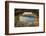 Sea caves at Cape Greco, Cyprus-Chris Mouyiaris-Framed Photographic Print