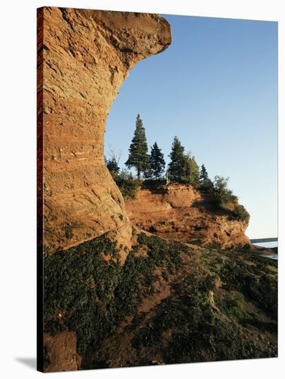 Sea Caves at Hack's Beach, Bay of Fundy, St. Martins, New Brunswick, Canada-Walter Bibikow-Stretched Canvas