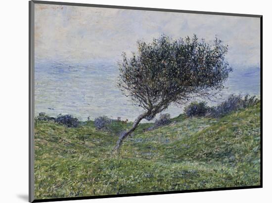 Sea Coast at Trouville-Claude Monet-Mounted Art Print