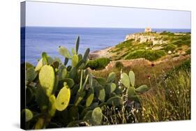 Sea Coast with Cactus, Parco Naturale Di Porto Selvaggio, Torre Uluzzo E Baia, Nardo, Italy-Stefano Amantini-Stretched Canvas