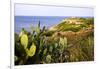 Sea Coast with Cactus, Parco Naturale Di Porto Selvaggio, Torre Uluzzo E Baia, Nardo, Italy-Stefano Amantini-Framed Photographic Print