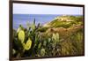 Sea Coast with Cactus, Parco Naturale Di Porto Selvaggio, Torre Uluzzo E Baia, Nardo, Italy-Stefano Amantini-Framed Photographic Print