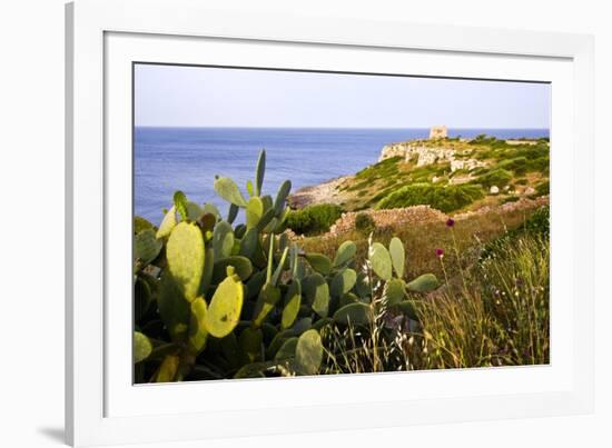 Sea Coast with Cactus, Parco Naturale Di Porto Selvaggio, Torre Uluzzo E Baia, Nardo, Italy-Stefano Amantini-Framed Photographic Print