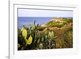Sea Coast with Cactus, Parco Naturale Di Porto Selvaggio, Torre Uluzzo E Baia, Nardo, Italy-Stefano Amantini-Framed Photographic Print