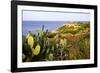 Sea Coast with Cactus, Parco Naturale Di Porto Selvaggio, Torre Uluzzo E Baia, Nardo, Italy-Stefano Amantini-Framed Photographic Print