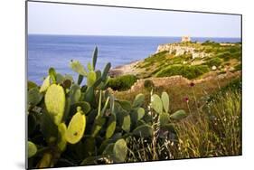 Sea Coast with Cactus, Parco Naturale Di Porto Selvaggio, Torre Uluzzo E Baia, Nardo, Italy-Stefano Amantini-Mounted Photographic Print