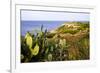 Sea Coast with Cactus, Parco Naturale Di Porto Selvaggio, Torre Uluzzo E Baia, Nardo, Italy-Stefano Amantini-Framed Photographic Print