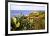 Sea Coast with Cactus, Parco Naturale Di Porto Selvaggio, Torre Uluzzo E Baia, Nardo, Italy-Stefano Amantini-Framed Photographic Print