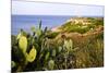 Sea Coast with Cactus, Parco Naturale Di Porto Selvaggio, Torre Uluzzo E Baia, Nardo, Italy-Stefano Amantini-Mounted Photographic Print