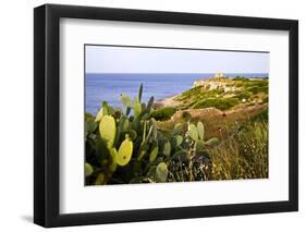 Sea Coast with Cactus, Parco Naturale Di Porto Selvaggio, Torre Uluzzo E Baia, Nardo, Italy-Stefano Amantini-Framed Photographic Print
