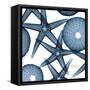 Sea Constellation 3-Albert Koetsier-Framed Stretched Canvas