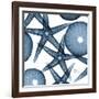 Sea Constellation 3-Albert Koetsier-Framed Art Print