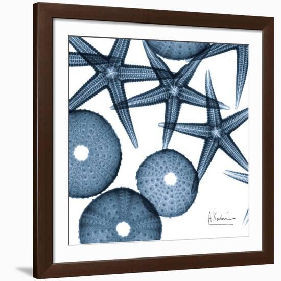 Sea Constellation 4-Albert Koetsier-Framed Art Print