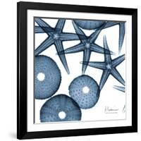 Sea Constellation 4-Albert Koetsier-Framed Art Print