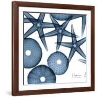 Sea Constellation 4-Albert Koetsier-Framed Art Print