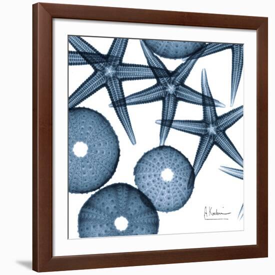 Sea Constellation 4-Albert Koetsier-Framed Art Print