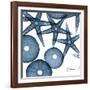 Sea Constellation 4-Albert Koetsier-Framed Art Print