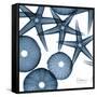 Sea Constellation 4-Albert Koetsier-Framed Stretched Canvas