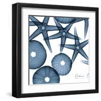 Sea Constellation 4-Albert Koetsier-Framed Art Print
