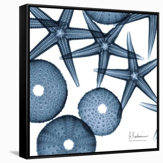 Sea Constellation 4-Albert Koetsier-Framed Stretched Canvas