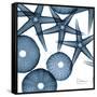 Sea Constellation 4-Albert Koetsier-Framed Stretched Canvas