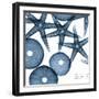 Sea Constellation 4-Albert Koetsier-Framed Art Print