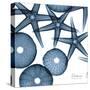 Sea Constellation 4-Albert Koetsier-Stretched Canvas
