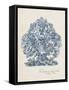 Sea Coral Study II-null-Framed Stretched Canvas