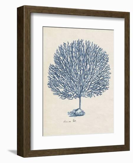 Sea Coral Study III-null-Framed Art Print