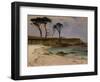 Sea Cove, c.1880-90-Albert Bierstadt-Framed Giclee Print