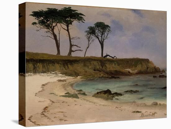 Sea Cove, c.1880-90-Albert Bierstadt-Stretched Canvas