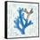 Sea Creature Coral Color-Courtney Prahl-Framed Stretched Canvas